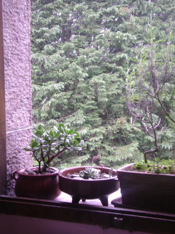 Hostal Venta San Blas Almándoz Esterno foto